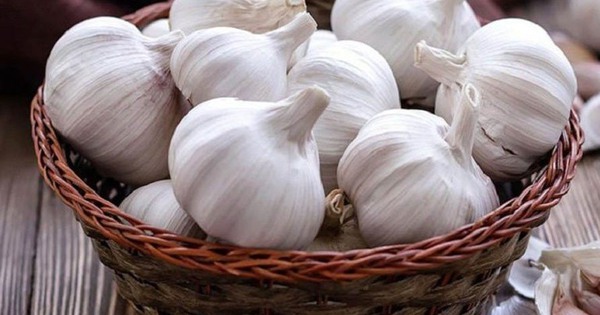 7 biện pháp tự nhiên giúp giảm nhẹ triệu chứng cúm A 6 7 bien phap tu nhien giup giam nhe trieu chung cum a 691c41dd1fd09