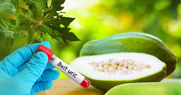 Cách dùng đu đủ xanh loại bỏ axit uric 9 cach dung du du xanh loai bo axit uric 6919991eab286