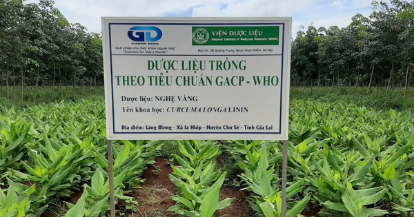 hoan thien co che kiem soat khai thac va buon ban duoc lieu tu nhien 69199cb1e216a