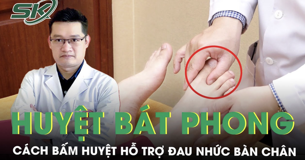 huong dan cach bam huyet bat phong ho tro giam dau nhuc ban chan 6926ceec7de24