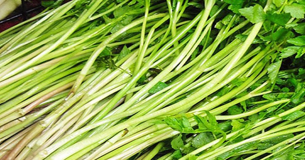 nguoi bi axit uric mau cao nen an gi 69218810be738