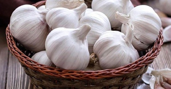 10 bai thuoc chua benh tu cu toi 694d07c526d8a