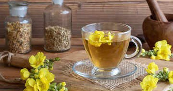 10 loi ich cua tra hoa mom soi 692ebd2e38ae0