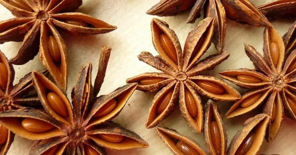 5 vi thuoc giup lam am co the trong mua lanh 6933fc15916e0