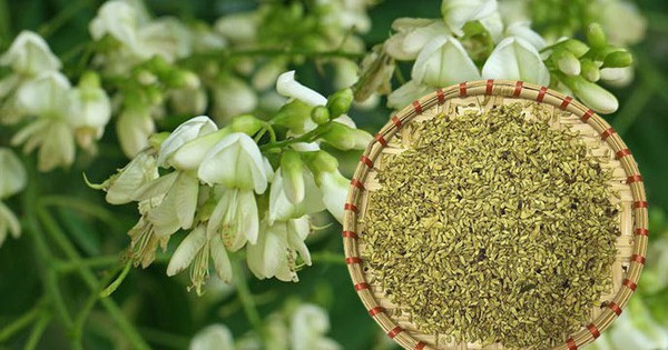 bai thuoc tu hoa hoe chua benh tri chay mau 6950fbdbdf834