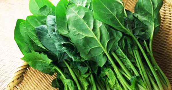 Gan nhiễm mỡ: 5 thực phẩm giúp bổ gan, giải độc tự nhiên 2 gan nhiem mo 5 thuc pham giup bo gan giai doc tu nhien 69301321a2032