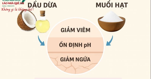 giai phap tu nhien cho da kho nut ne chai san chi tu dau dua va nuoc muoi am 693d354e9d482