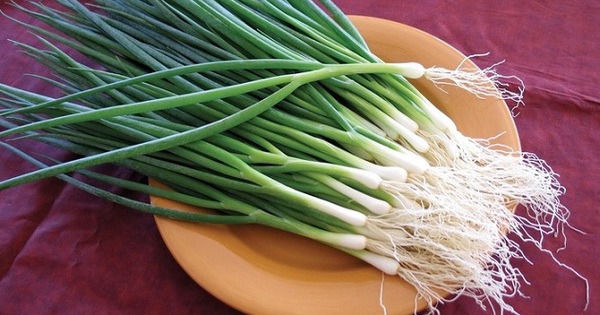 hanh la gia vi vi thuoc quy cua mua dong 69539f2d1fb76