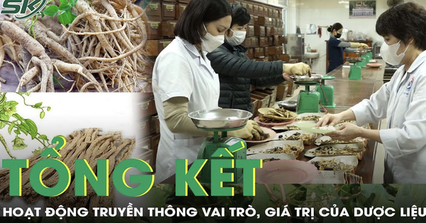 hoat dong truyen thong vai tro gia tri cua duoc lieu giai doan tu nam 2021 den nam 2025 694a64e0d29b4