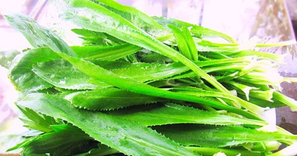 la mui tau co tac dung gi 6932b5c4d11cd