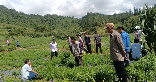 nang cao nhan thuc ve trong thu hai va bao ton duoc lieu dung cach 692d6f1dd0ab6