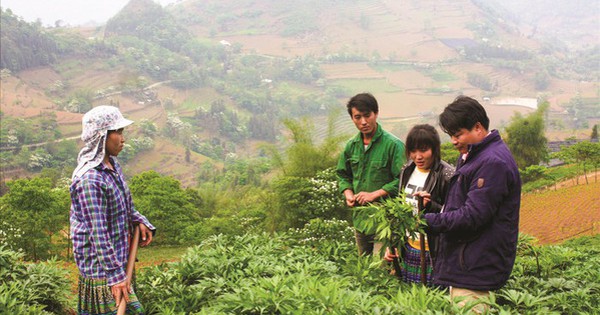 no luc bao ton nguon duoc lieu 693575a0c05b3