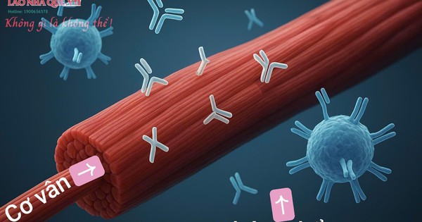 tri lieu khai thong cot song ho tro phuc hoi cho benh nhan khang the tu mien tieu co van 693575c4277cd