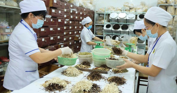 WHO thúc đẩy hội nhập y học cổ truyền vào hệ thống y tế toàn cầu 2 who thuc day hoi nhap y hoc co truyen vao he thong y te toan cau 6943ccf1da7f7