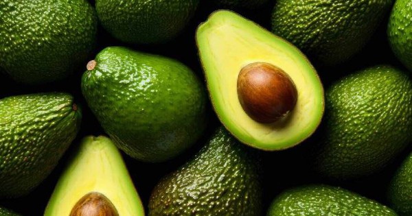 10 thuc pham giau chat beo tot giup tim mach khoe manh 695794ed8c701