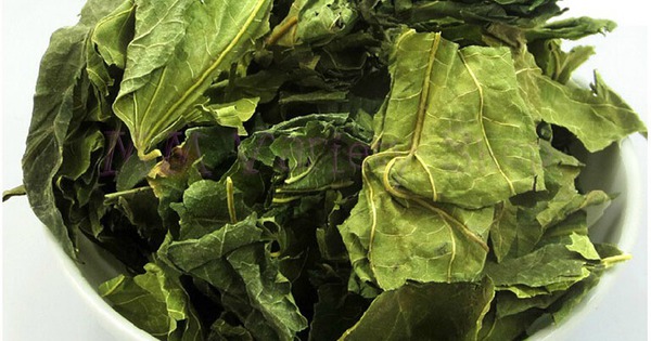 3 bai thuoc tu la dau tot cho nguoi benh tieu duong 6958e4eeb97a4