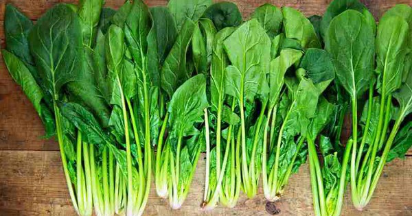 5 loại rau mùa đông giàu chất xơ tốt cho tiêu hóa 3 5 loai rau mua dong giau chat xo tot cho tieu hoa 6971ee245b30d