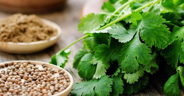 5 loại thực phẩm giúp thận lọc độc tố hiệu quả 2 5 loai thuc pham giup than loc doc to hieu qua 695f7d148cdea