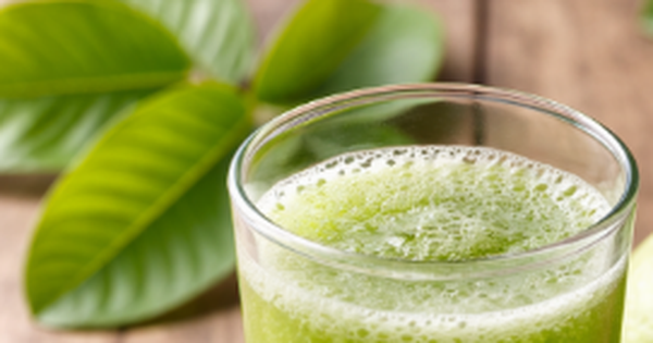 5 loi ich chua benh cua nuoc ep la oi dieu gi xay ra neu ban uong nuoc ep la oi moi sang 69621b6c197a8