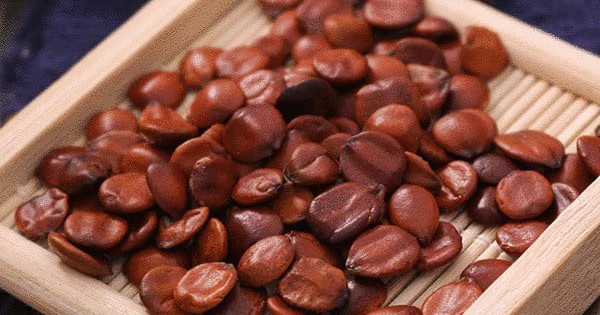 5 vị thuốc giúp ngủ ngon trong mùa đông 8 5 vi thuoc giup ngu ngon trong mua dong 696b59faa13da