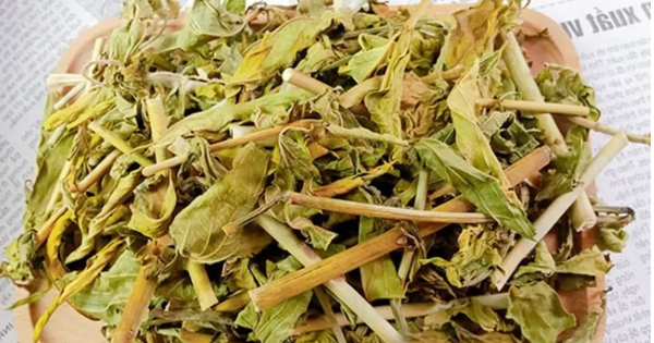 bai thuoc chua seo loi tu cay bim bip 6970a0e21f664