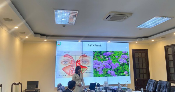 nghiem thu thanh cong de tai nghien cuu dung dich ho tro dieu tri viem mui xoang tu cay ngu sac 695e28c7212ab